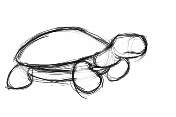 tortuga