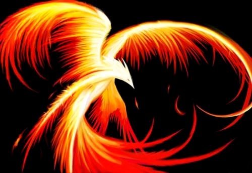 Fenix contador a cero