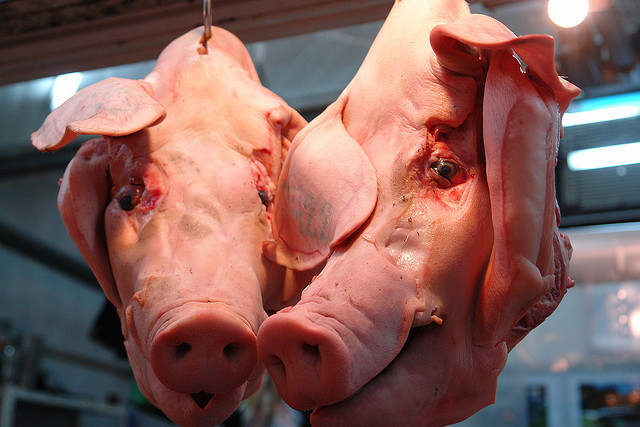 3217841103_ed4539a4d8_z