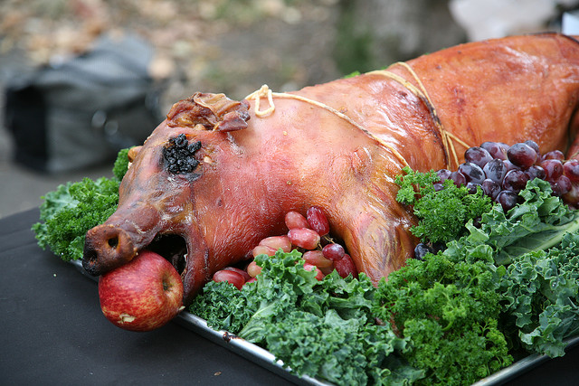 1525791545_cb47bb4c7b_z