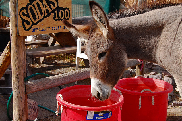 5450839877_19026bb6f4_z