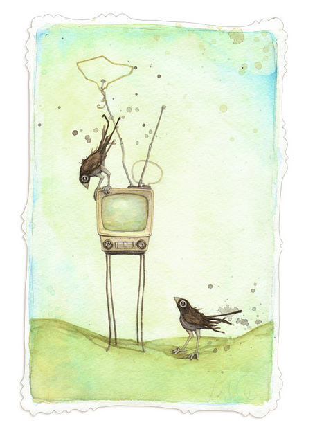 4815494364_ce6ce0d89d_z