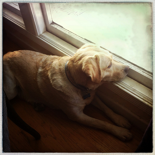 Outside looks like fun