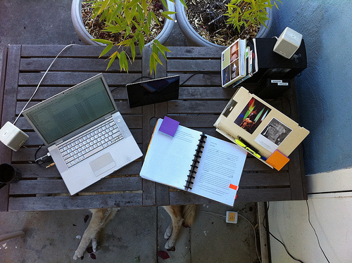 Today's workplace with bamboo and dog