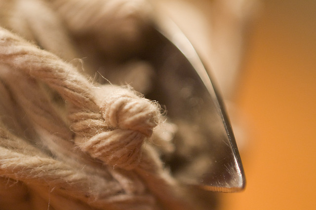 1333065244_d316ca3602_z (1)