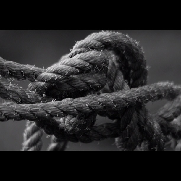 7691021354_1fd8b93b88_o