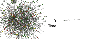 Meiozation