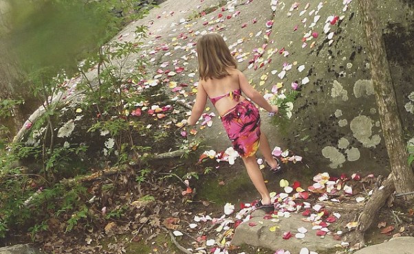 3901223449_c67fb1b91c_z