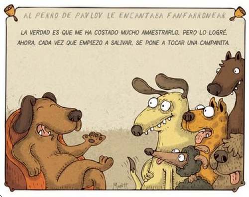 perro-de-pavlov fanfarrón