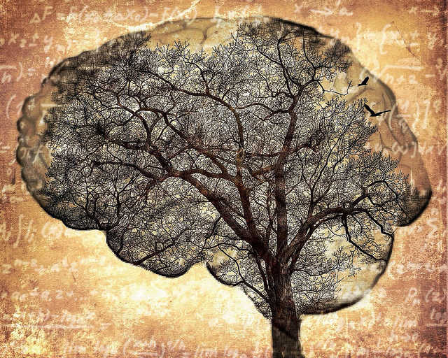 8650127689_c0e6c93f89_z