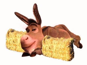 BuridanDonkey