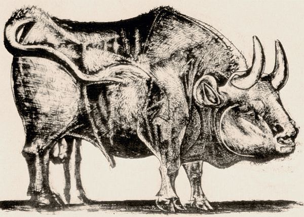 picasso_bull_plate_3